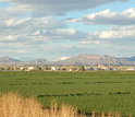 Central Arizona-Phoenix LTER site including mountains, grass and buildings